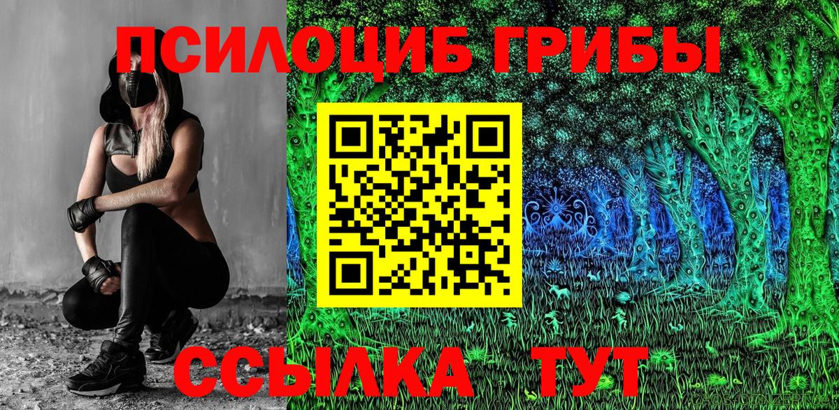 Псилоцибиновые грибы Psilocybe Ярославль