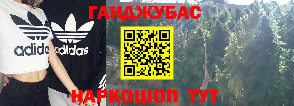 Канабис OG Kush Ярославль